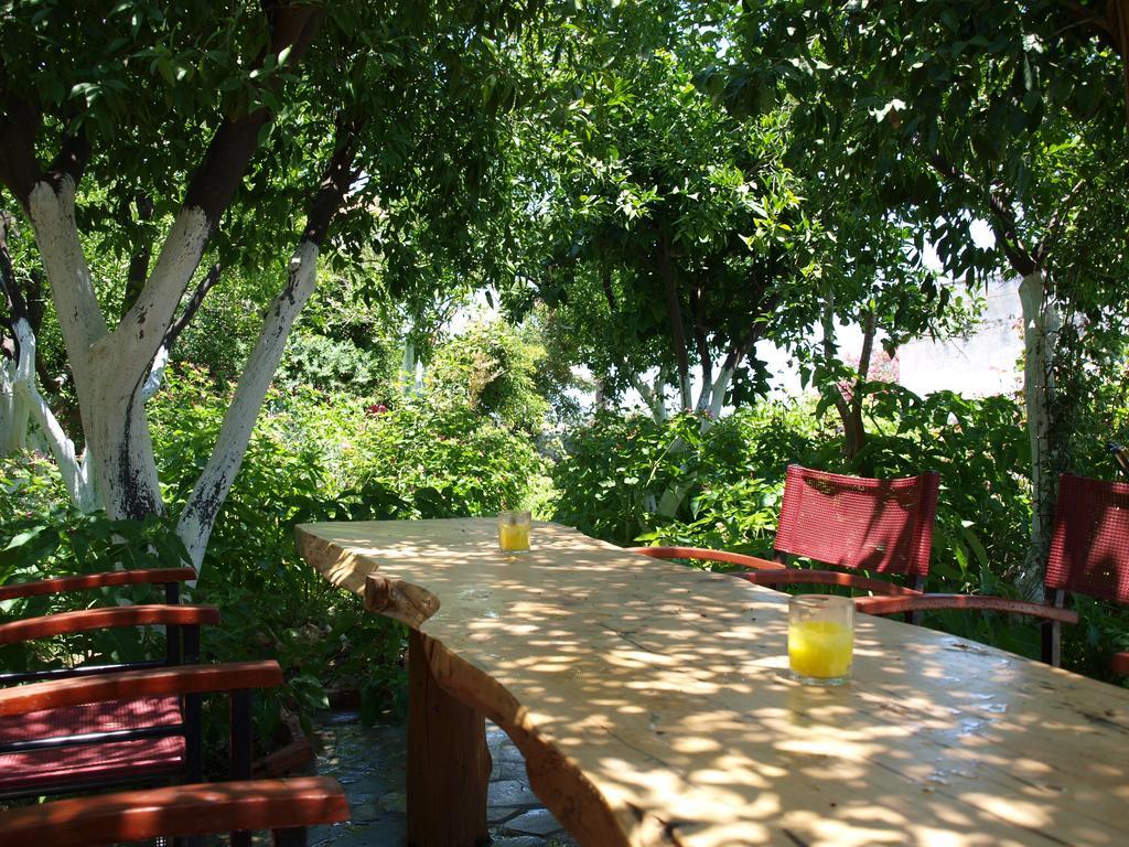 Εlegant Villa Liakos Pigi  Ngoại thất bức ảnh